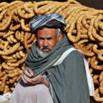 Dampak Digitalisasi Program Pemerintah di Desa Cideng